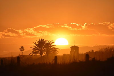 Silhouette plants against sky during sunset