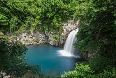 Scenic view of waterfall in forest