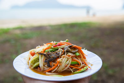 Close-up of noodles in bowl