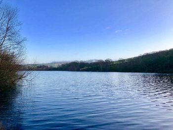 Scenic view of lake against clear blue sky