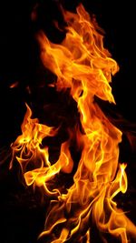 Close-up of fire at night