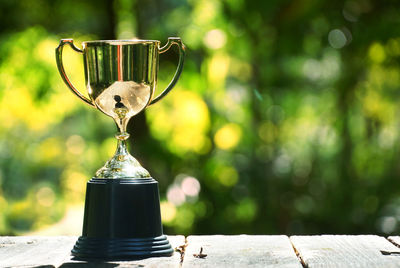 Trophy on wood table with green bokeh background