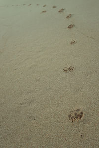 High angle view of footprints on sand at beach