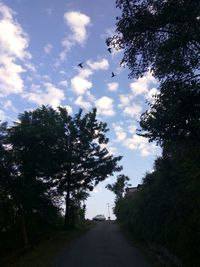 Road amidst trees against sky