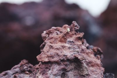 Close-up of rock