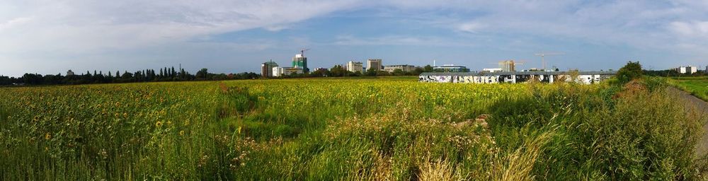 Scenic view of field against cloudy sky