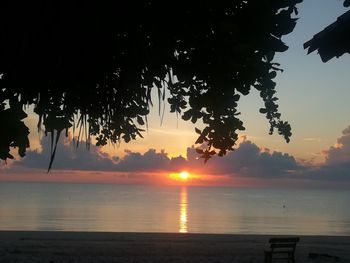 Silhouette tree by sea against sky during sunset