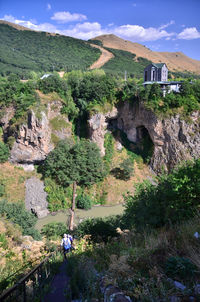 Scenic view of trees on mountain