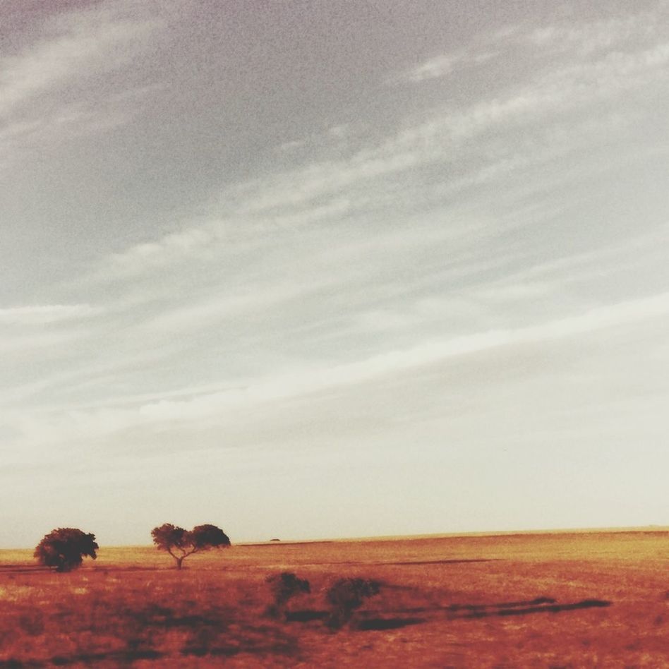 landscape, field, tranquil scene, sky, tranquility, rural scene, horizon over land, agriculture, scenics, nature, beauty in nature, farm, cloud - sky, cloud, remote, non-urban scene, desert, solitude, outdoors, no people