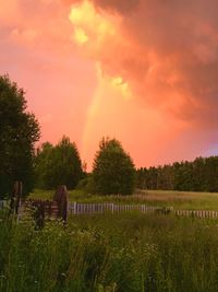 Scenic view of field against sky during sunset