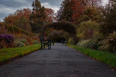 Footpath amidst trees in park during autumn