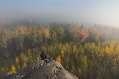 A man sits on a rocky hill and admires a stunning autumn forest shrouded in mist. alone with nature
