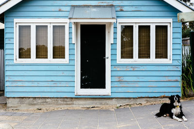 View of small dog outside window of building