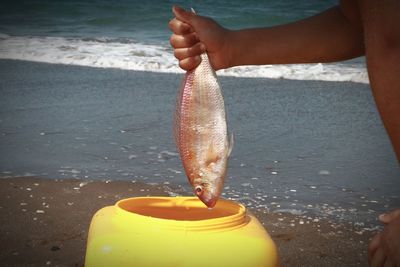 Close-up of hand holding fish at sea