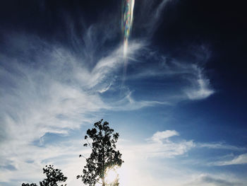 Low angle view of silhouette tree against sky