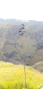 Scenic view of land against sky