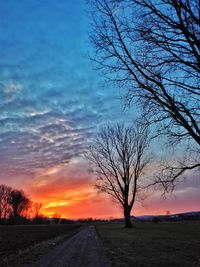 Silhouette bare tree by road against sky at sunset
