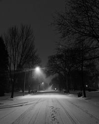 Bare tree on street