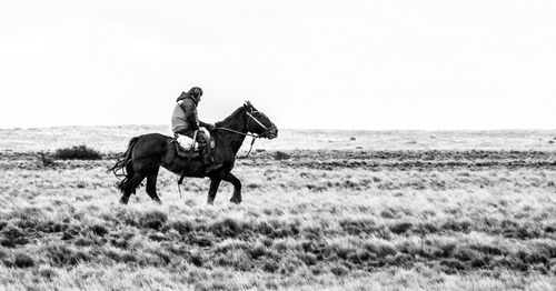 Man riding horse on field by sea against clear sky