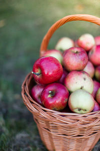 High angle view of apples in wicker basket on field