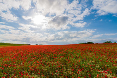 Scenic view of field against cloudy sky