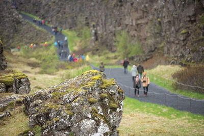 Group of people on rock against plants