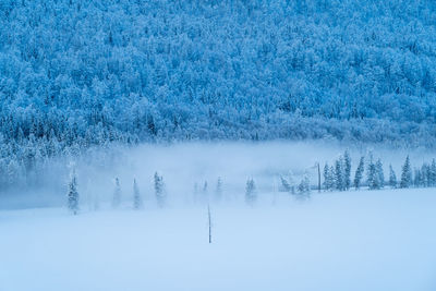 Scenic view of snow covered land