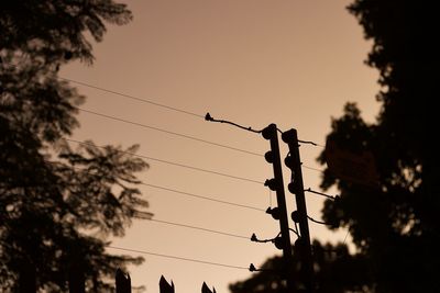 Low angle view of silhouette birds on electricity pylon against sky