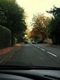 Road passing through forest