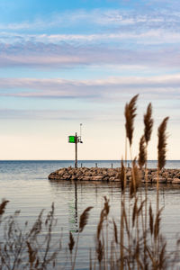 Scenic view of beach against sky during sunset