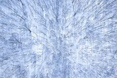 Full frame shot of snow covered glass window