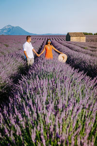 Purple flowering plants on field against sky