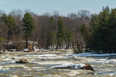 Scenic view of waterfall in forest