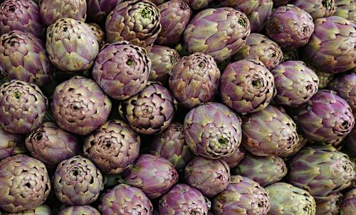 Large ripe artichokes cultivated with biological techniques without anticryptogamics for sale 