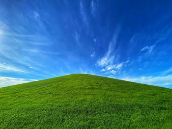 Scenic view of grassy field against sky