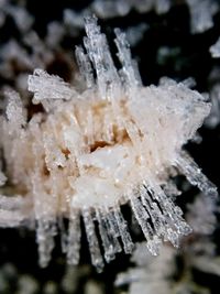 Close-up of frozen water in winter