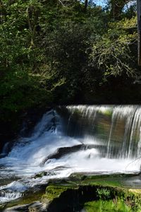 Scenic view of waterfall