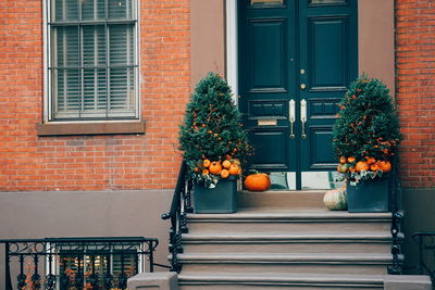 Christmas decorations at entrance of house