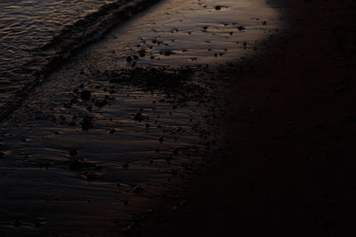 High angle view of birds on beach