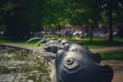 Close-up of statue against water