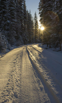 Tire tracks on snow covered road