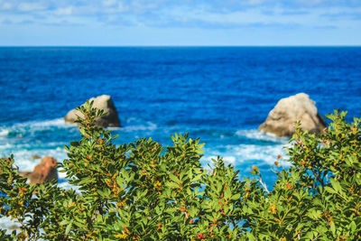 Scenic view of sea against sky