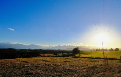 Scenic view of trees against blue sky