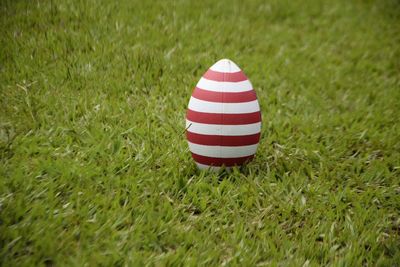 Close-up of grass on field