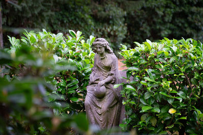 Statue amidst plants