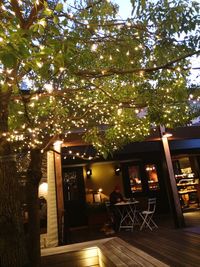 tree
