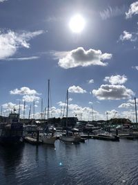 Sailboats moored in harbor