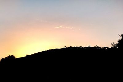 Silhouette trees in forest against sky at sunset