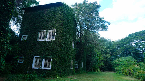 Low angle view of trees and building against sky