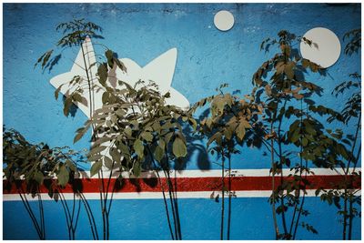 Plants and trees against blue sky